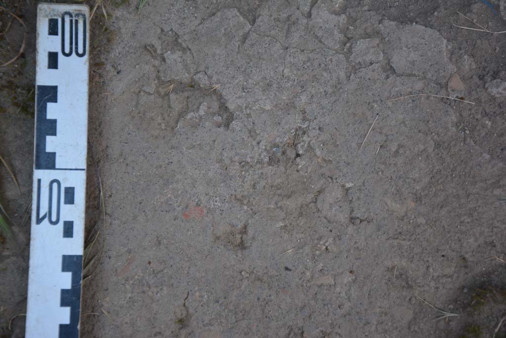 IX.5.11 Pompeii. May 2017. Room o, detail of flooring.
Foto Christian Beck, ERC Grant 681269 DÉCOR.
