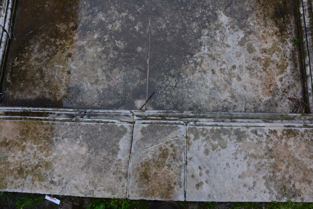 IX.5.11 Pompeii. March 2017. Atrium b, north end of impluvium.
Foto Christian Beck, ERC Grant 681269 DÉCOR.