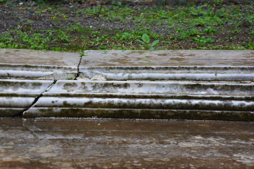 IX.5.11 Pompeii. March 2017. Atrium b, detail from east side of impluvium.
Foto Christian Beck, ERC Grant 681269 DÉCOR.