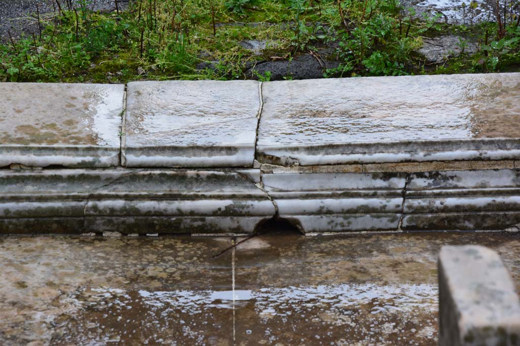IX.5.11 Pompeii. March 2017. Atrium b, detail from south side of impluvium.
Foto Christian Beck, ERC Grant 681269 DÉCOR.