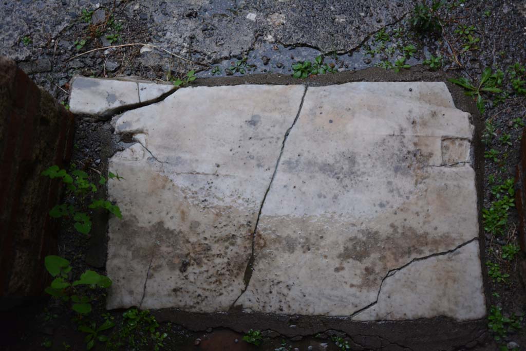 IX.5.11 Pompeii. March 2017. Room g, threshold of doorway.
Foto Christian Beck, ERC Grant 681269 DÉCOR.