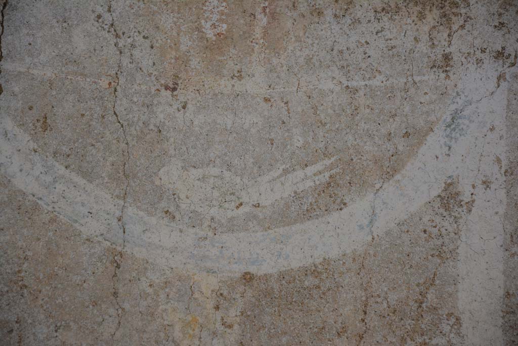 IX.5.11 Pompeii. May 2017. Room g, detail of painted bird from above central panel.
Foto Christian Beck, ERC Grant 681269 DÉCOR.