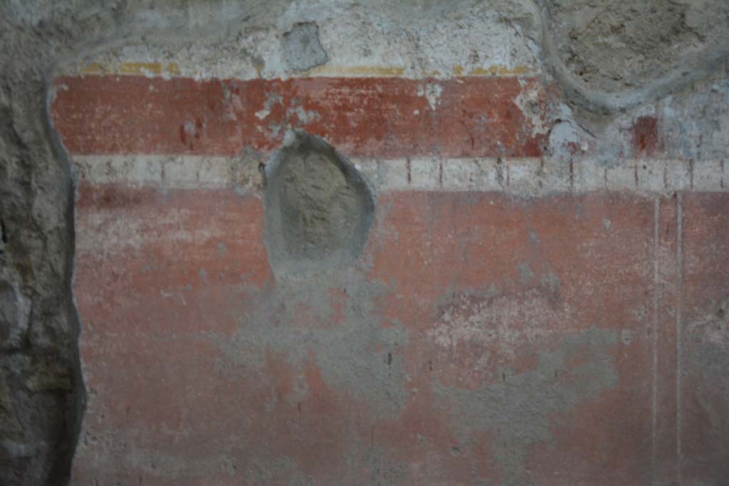 IX.5.11 Pompeii. March 2017. Room g, detail from zoccolo in centre of lower south wall. 
Foto Christian Beck, ERC Grant 681269 DÉCOR.
