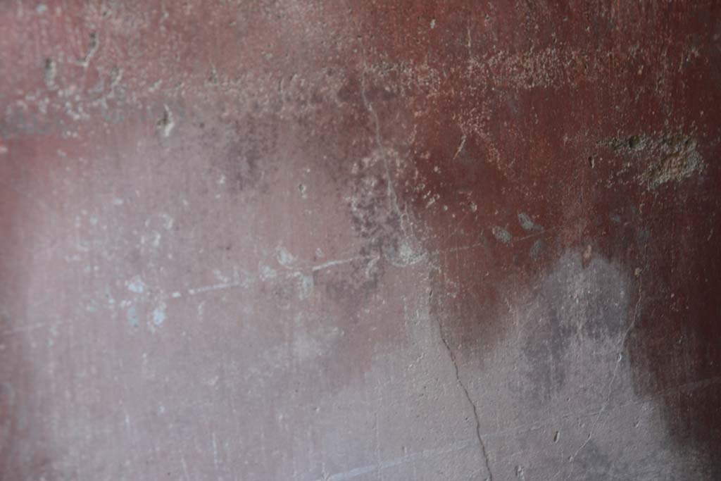 IX.5.11 Pompeii. March 2017. Room i, detail of zoccolo from centre of north wall. 
Foto Christian Beck, ERC Grant 681269 DÉCOR.