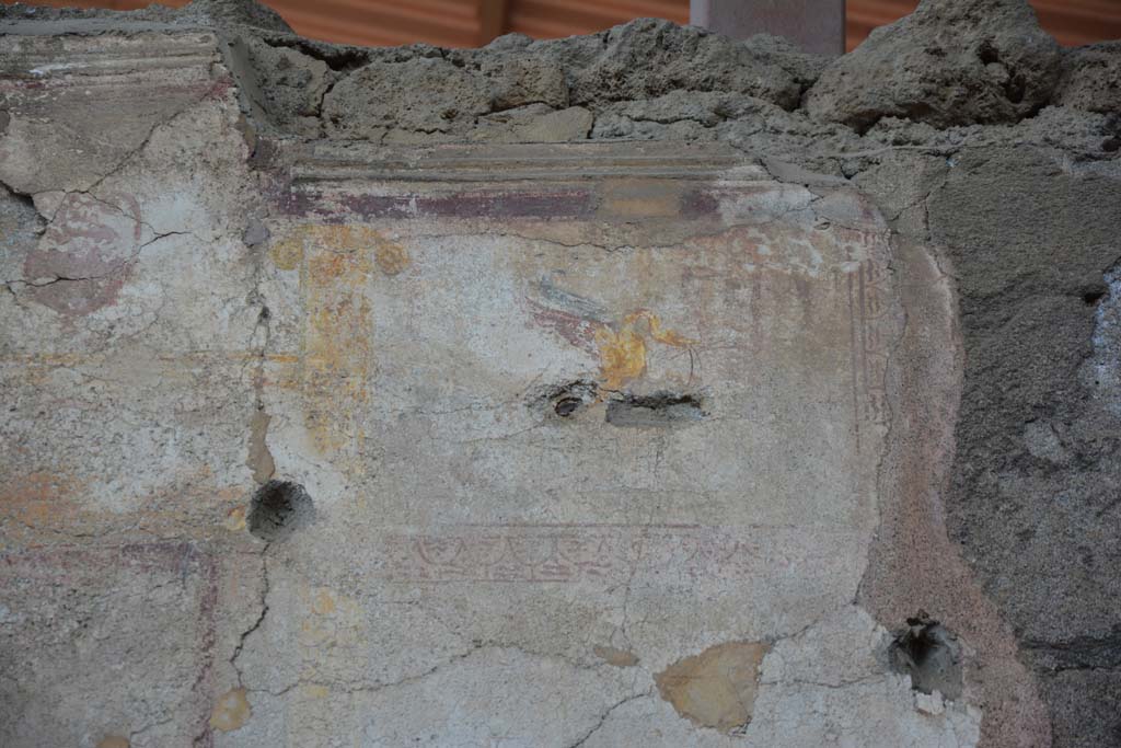 IX.5.11 Pompeii. May 2017. Room i, detail of painted swan from upper centre of west wall.
Foto Christian Beck, ERC Grant 681269 DÉCOR.