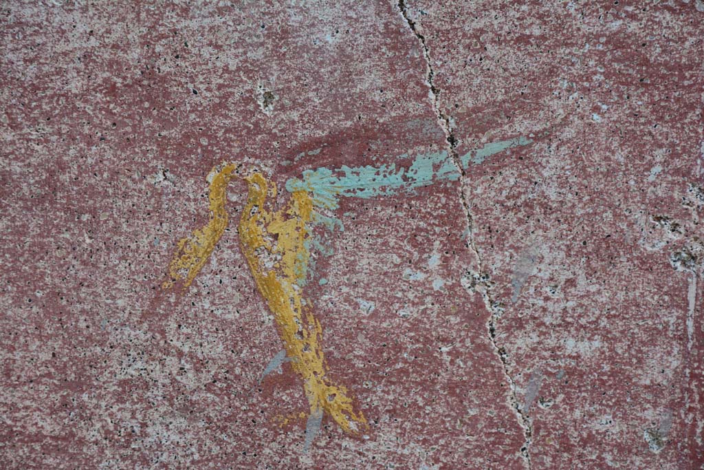 IX.5.11 Pompeii. March 2017. Room I (L), detail of painted swan from zoccolo on east wall.
Foto Christian Beck, ERC Grant 681269 DÉCOR.