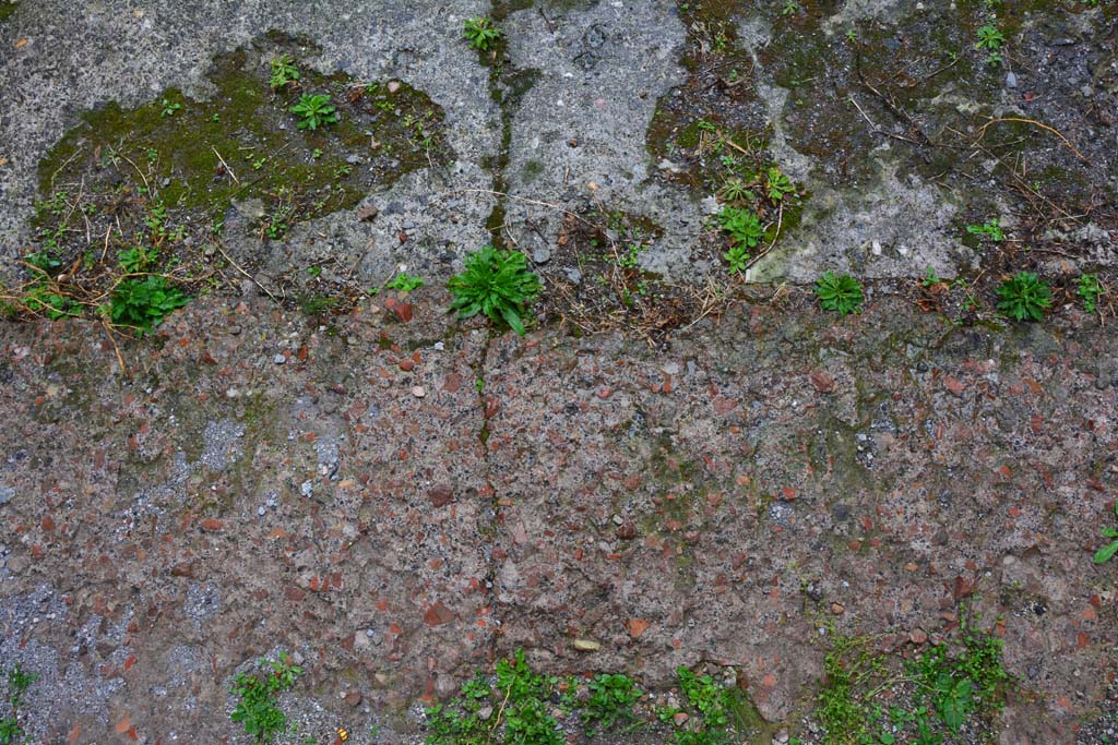 IX.5.11 Pompeii. March 2017. Room l (L), looking north towards change of flooring between tablinum, below, and atrium, above.  
Foto Christian Beck, ERC Grant 681269 DÉCOR.
