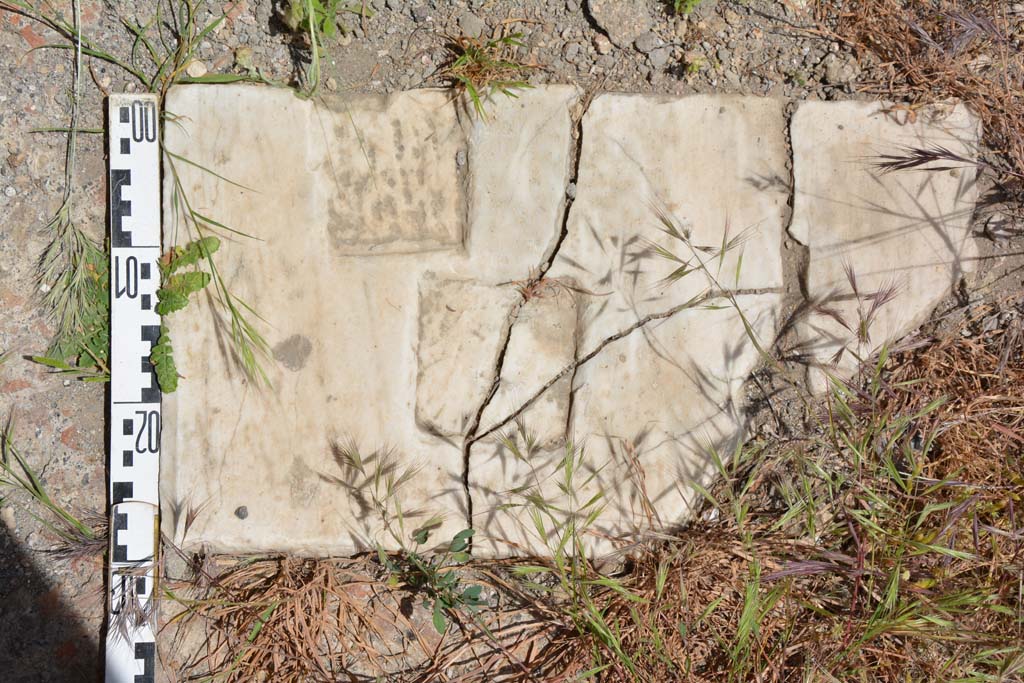 IX.5.11 Pompeii. May 2017. Room l (L), detail of marble threshold on south end of tablinum.
Foto Christian Beck, ERC Grant 681269 DÉCOR.