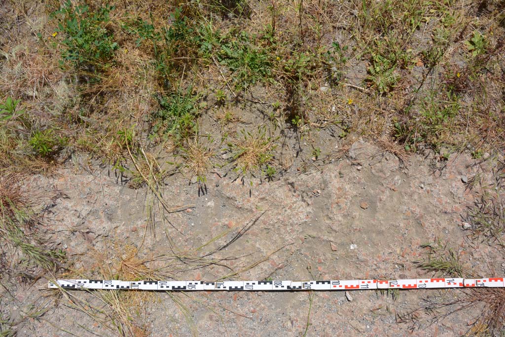 IX.5.11 Pompeii. May 2017. Room l (L), detail of flooring at south end of tablinum.
Foto Christian Beck, ERC Grant 681269 DÉCOR.