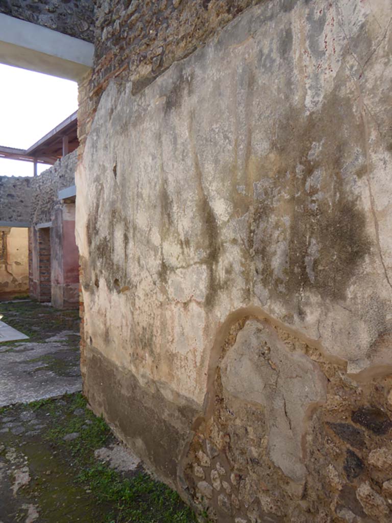 IX.5.11 Pompeii. January 2017. Room a, looking south along west wall.   
Foto Annette Haug, ERC Grant 681269 DÉCOR