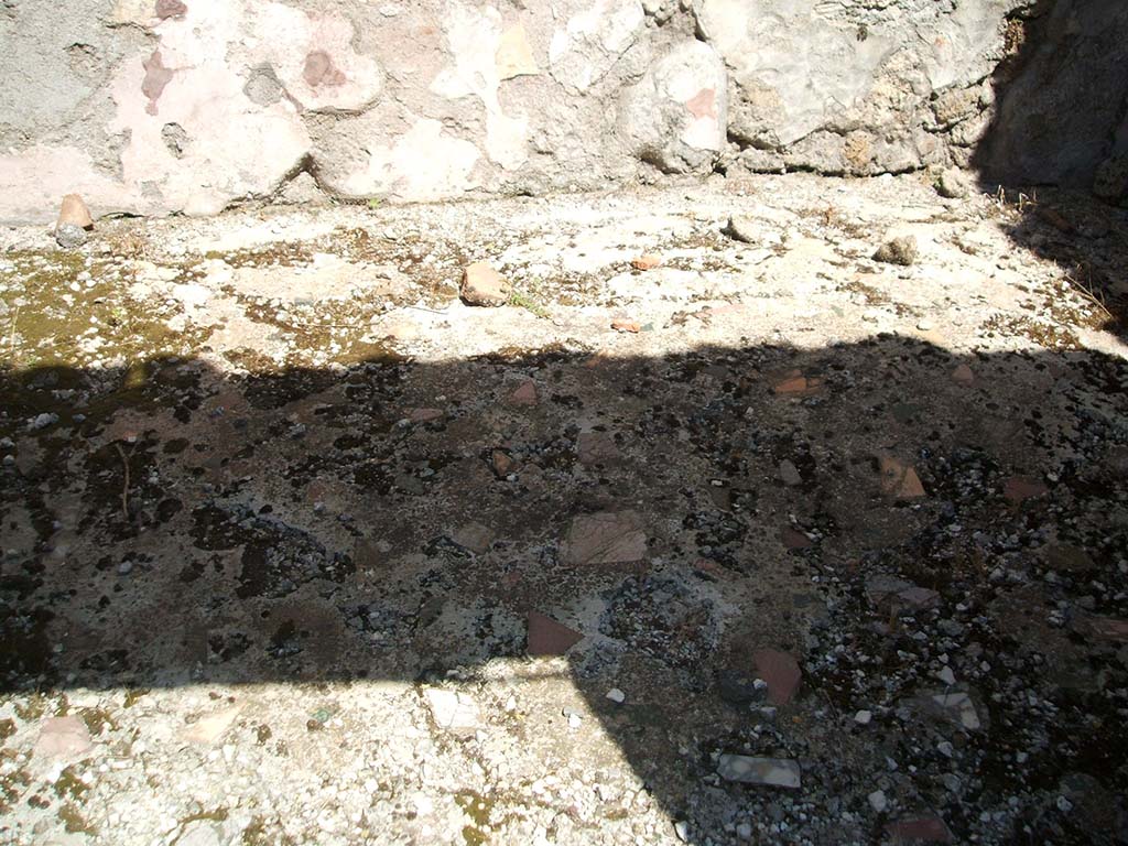 IX.5.14 Pompeii. May 2005. Cubiculum “L”, detail of floor.
Looking north through doorway to cubiculum “L”, on north side of portico.
The cocciopesto floor was scattered with limestone flakes. 
The zoccolo of this room would have been painted to show a pattern of false marble.
In the centre of the north wall were the remains of a painting of Narcissus on a red background, the side panels were yellow. 
The upper zone of the wall was also red.
On the east wall, but almost completely lost, was a painting showing a sleeping Maenad surprised by a Satyr.
This wall also had a painted false marble zoccolo, central red panel and on the yellow side panels were painted medallions.
On the south wall, with a similar painted zoccolo, but on a yellow middle zone were the remains of a painting with fishes.
On the west wall, the middle of the wall was painted with yellow panels containing medallions showing two birds eating; a stretched garland was seen on a red panel.
See Notizie degli Scavi di Antichitŕ, 1878, p. 185.
See Bullettino dell’Instituto di Corrispondenza Archeologica (DAIR), 1879, p. 265.