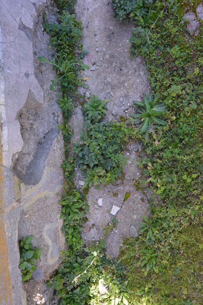 IX.5.14 Pompeii. May 2017. Room “L”, flooring.
Foto Christian Beck, ERC Grant 681269 DÉCOR.