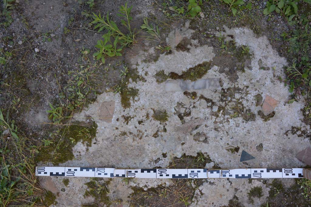 IX.5.14 Pompeii. May 2017. Room “L”, detail of flooring.
Foto Christian Beck, ERC Grant 681269 DÉCOR.