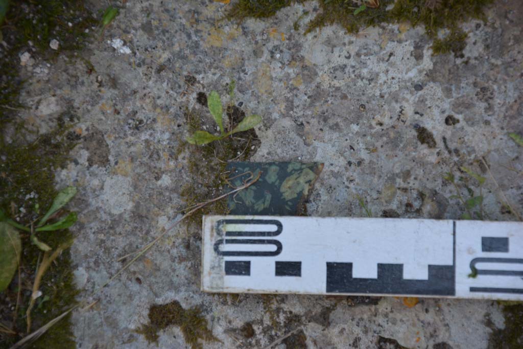 IX.5.14 Pompeii. May 2017. Room “L”, detail of flooring.
Foto Christian Beck, ERC Grant 681269 DÉCOR.