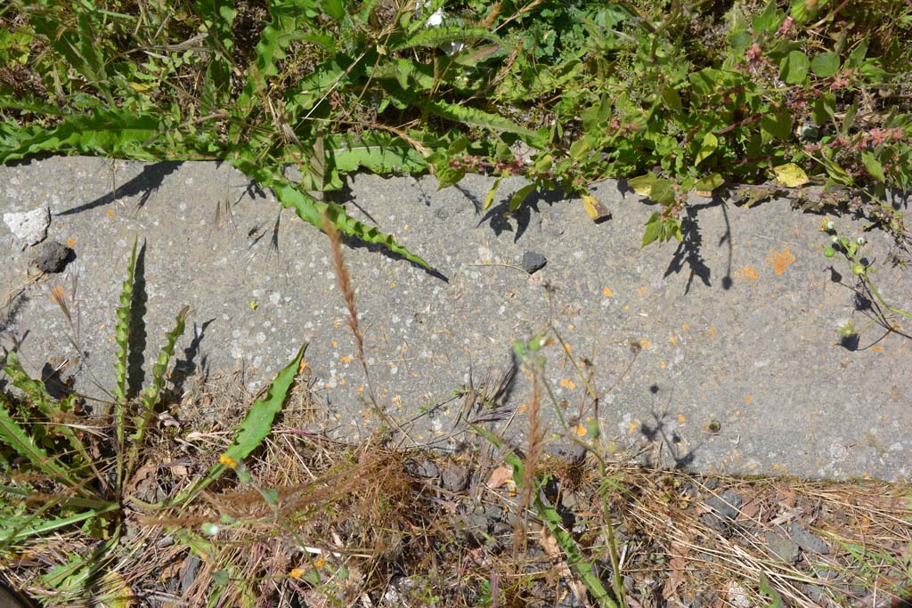 IX.5.14 Pompeii. May 2017. Peristyle “k”, threshold of doorway to servants’ area.
Foto Christian Beck, ERC Grant 681269 DÉCOR.