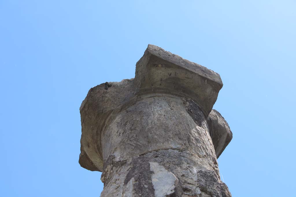 IX.5.14 Pompeii. May 2019. Room “k”, detail from top of column on south portico. 
Foto Christian Beck, ERC Grant 681269 DÉCOR.