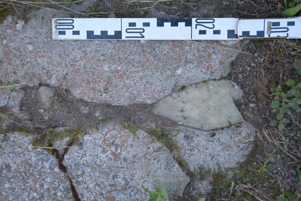 IX.5.14 Pompeii. May 2017. Peristyle “k”, detail from flooring at base of south wall.
Foto Christian Beck, ERC Grant 681269 DÉCOR.