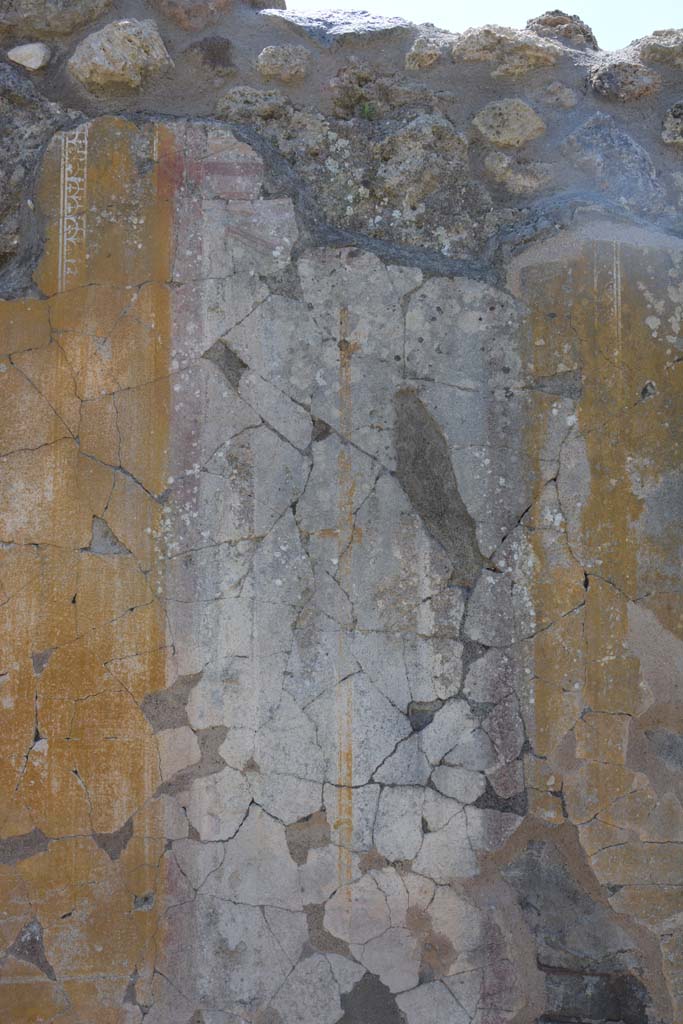 IX.5.14 Pompeii. May 2017. 
Peristyle “k”, detail from compartment separating two panels, showing narrow painted candelabra.
Foto Christian Beck, ERC Grant 681269 DÉCOR.
