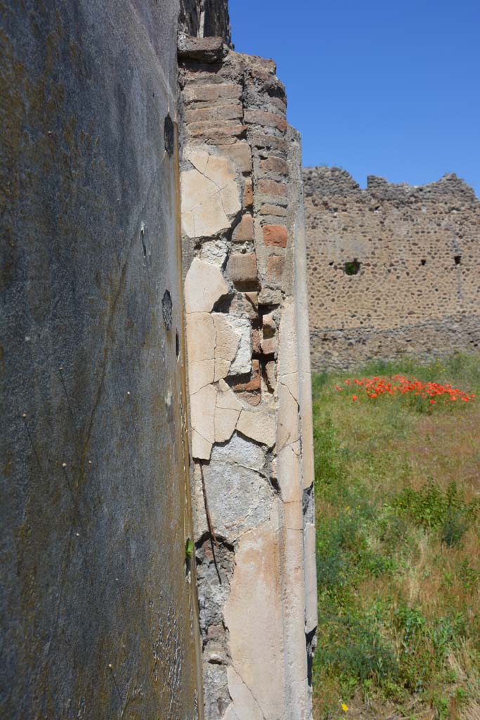 IX.5.14 Pompeii. May 2017. 
Peristyle “k”, looking north to detail of half-pilaster on west wall in south-west corner.
Foto Christian Beck, ERC Grant 681269 DÉCOR.