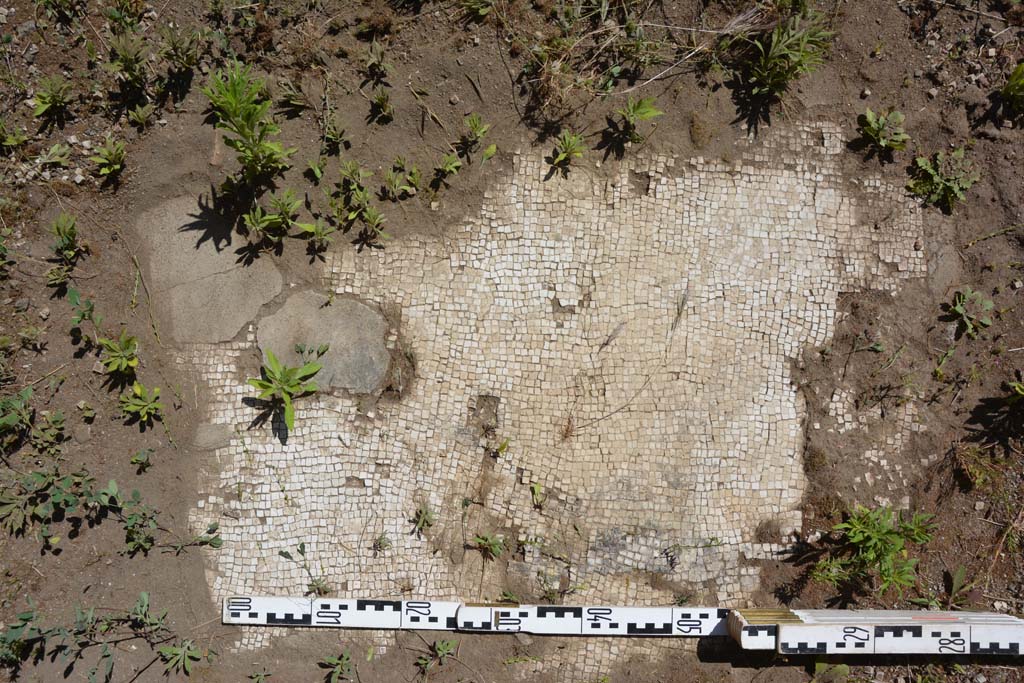 IX.5.14 Pompeii. May 2017. Room “m”, flooring.
Foto Christian Beck, ERC Grant 681269 DÉCOR.