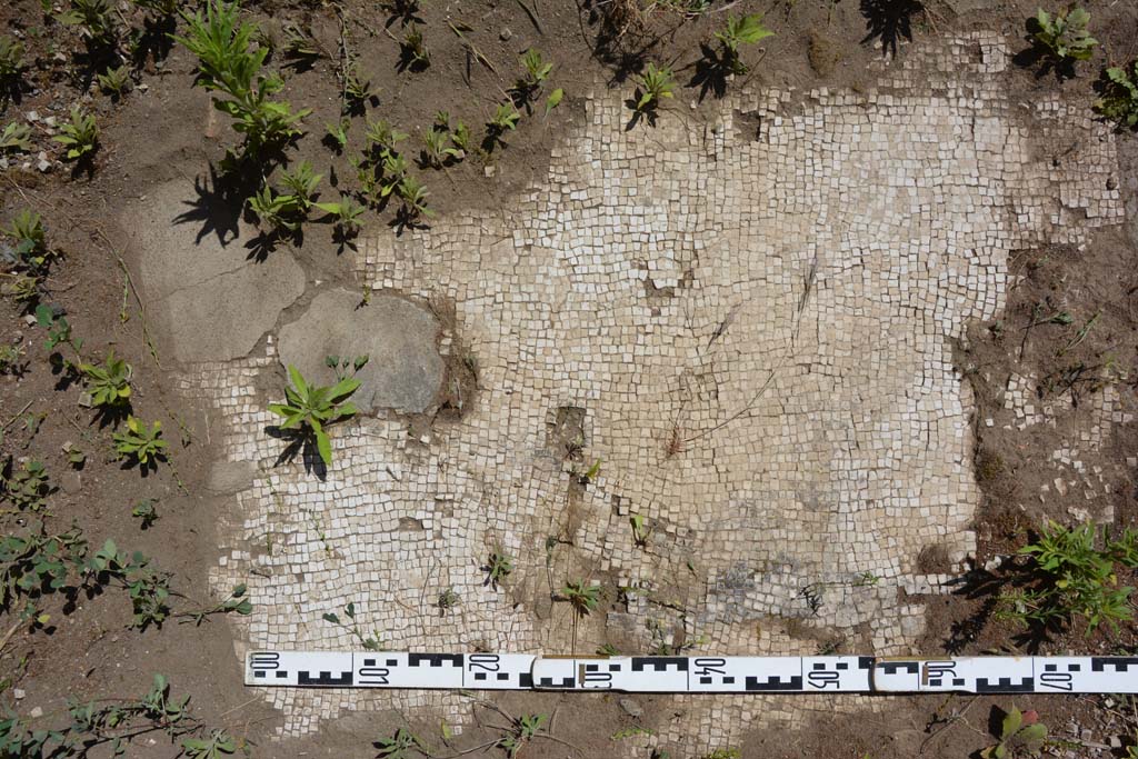IX.5.14 Pompeii. May 2017. Room “m”, detail of white mosaic flooring.
Foto Christian Beck, ERC Grant 681269 DÉCOR.