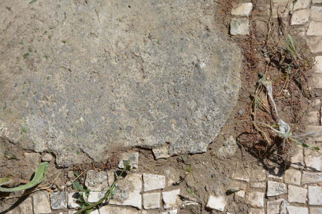 IX.5.14 Pompeii. May 2017. Room “m”, detail of mosaic flooring.
Foto Christian Beck, ERC Grant 681269 DÉCOR.