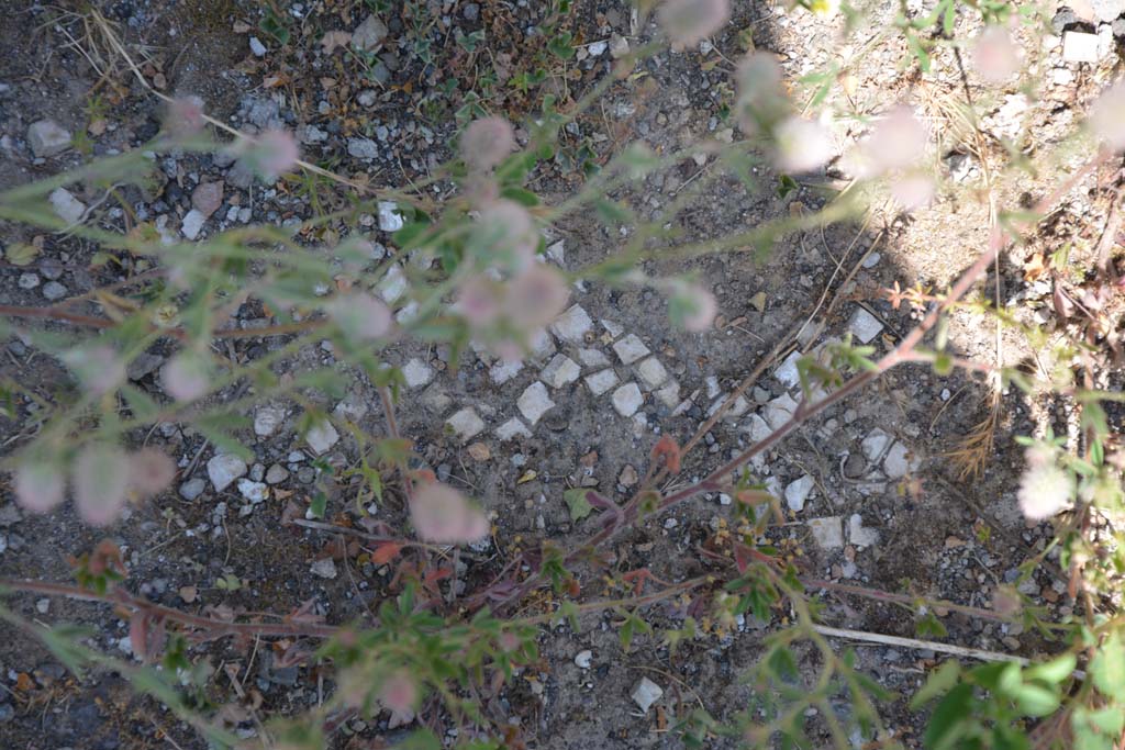 IX.5.14 Pompeii. May 2017. Room “m”, remaining white mosaic in floor.
Foto Christian Beck, ERC Grant 681269 DÉCOR.