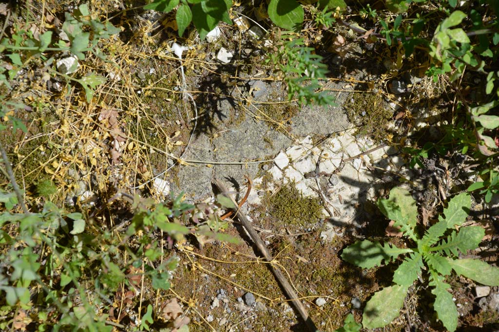IX.5.14 Pompeii. May 2017. Room “m”, remaining white mosaic in floor.
Foto Christian Beck, ERC Grant 681269 DÉCOR.