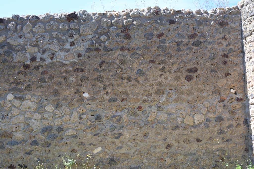 IX.5.14 Pompeii. May 2017. Room “m”, north wall at east end.
Foto Christian Beck, ERC Grant 681269 DÉCOR.
