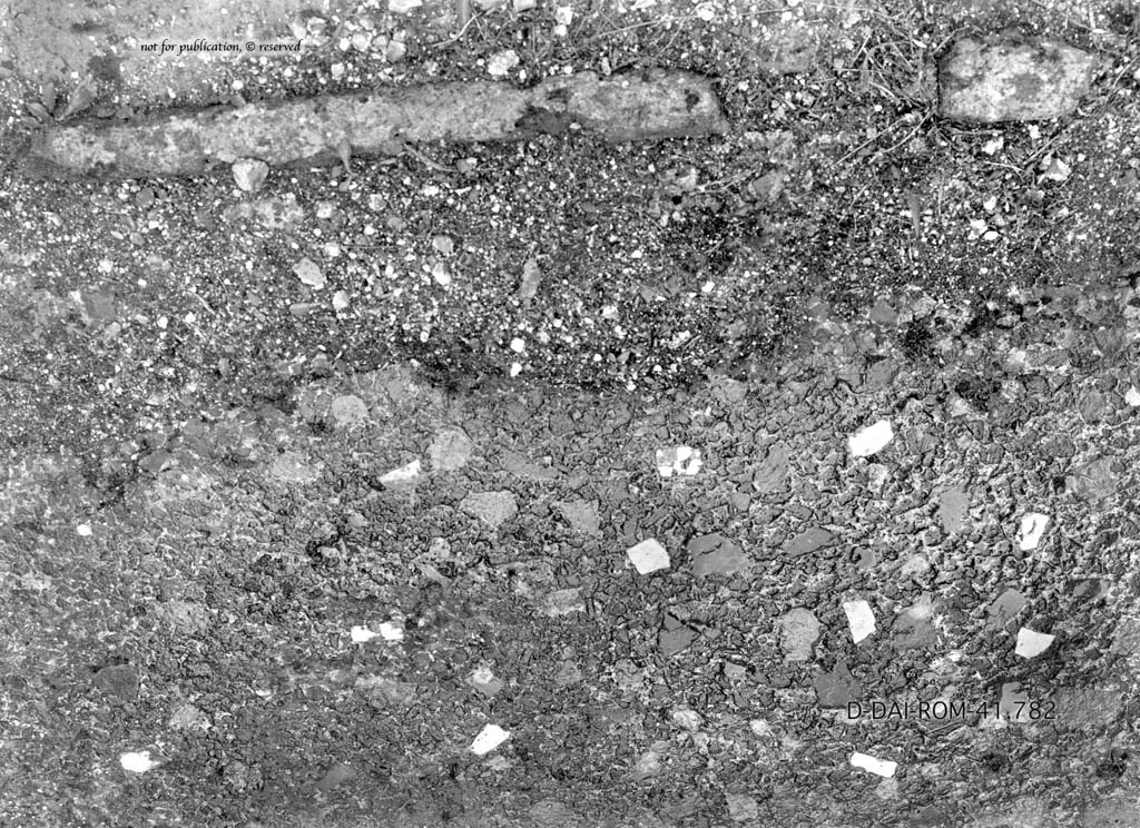 IX.5.14 Pompeii. c.1930. Room “n”, flooring in the exedra.  
DAIR 41.782. Photo © Deutsches Archäologisches Institut, Abteilung Rom, Arkiv.
See Pernice, E.  1938. Pavimente und Figürliche Mosaiken: Die Hellenistische Kunst in Pompeji, Band VI. Berlin: de Gruyter, (tav. 50,5, above.)
