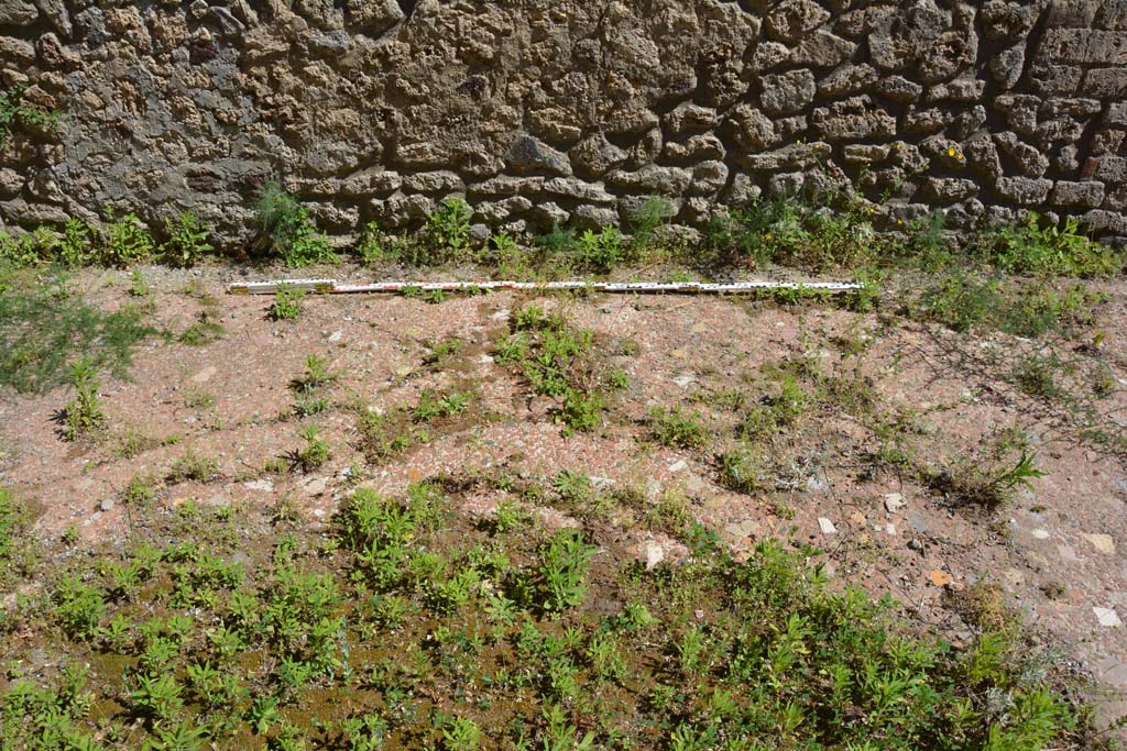 IX.5.14 Pompeii. May 2017. Room “n”, south wall and flooring.
Foto Christian Beck, ERC Grant 681269 DÉCOR.