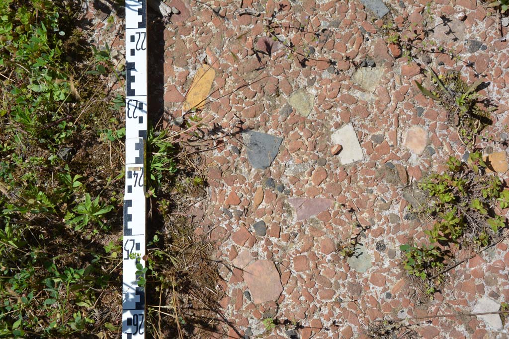 IX.5.14 Pompeii. May 2017. Room “n”, detail of flooring.
Foto Christian Beck, ERC Grant 681269 DÉCOR.