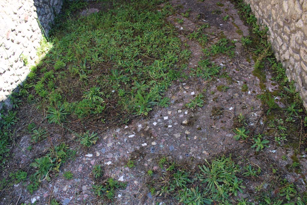 IX.5.14 Pompeii. May 2019. Room “n”, flooring.
Foto Christian Beck, ERC Grant 681269 DÉCOR.