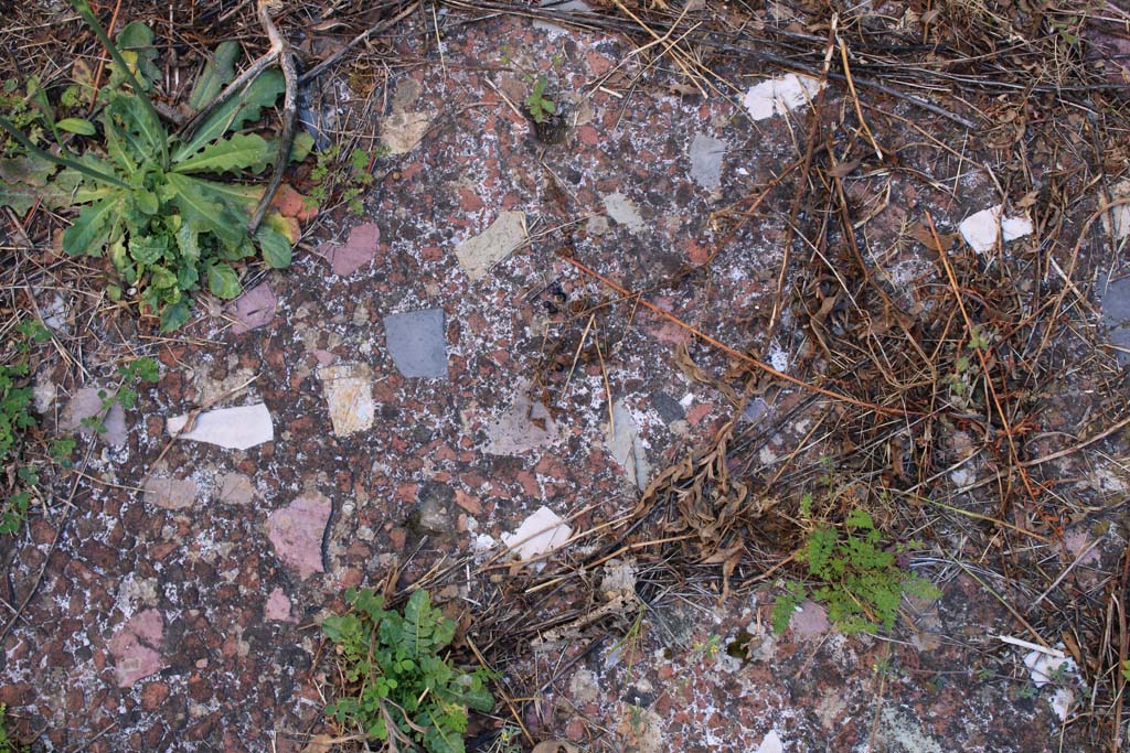 IX.5.14 Pompeii. May 2019. Room “n”, detail of flooring.
Foto Christian Beck, ERC Grant 681269 DÉCOR.