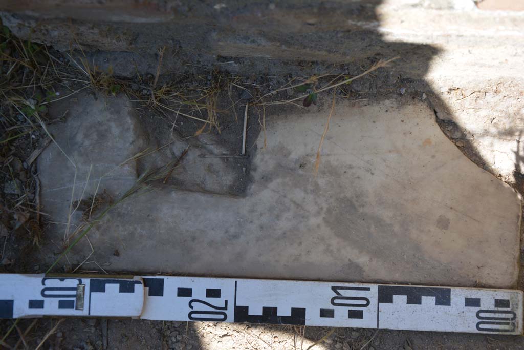 IX.5.14 Pompeii. May 2017. Room “o”, detail from doorway threshold. 
Foto Christian Beck, ERC Grant 681269 DÉCOR.