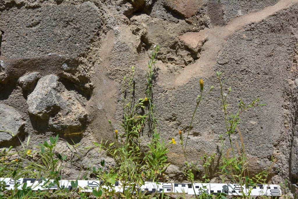IX.5.14 Pompeii. May 2017. Corridor “p”, detail from north wall.  
Foto Christian Beck, ERC Grant 681269 DÉCOR.