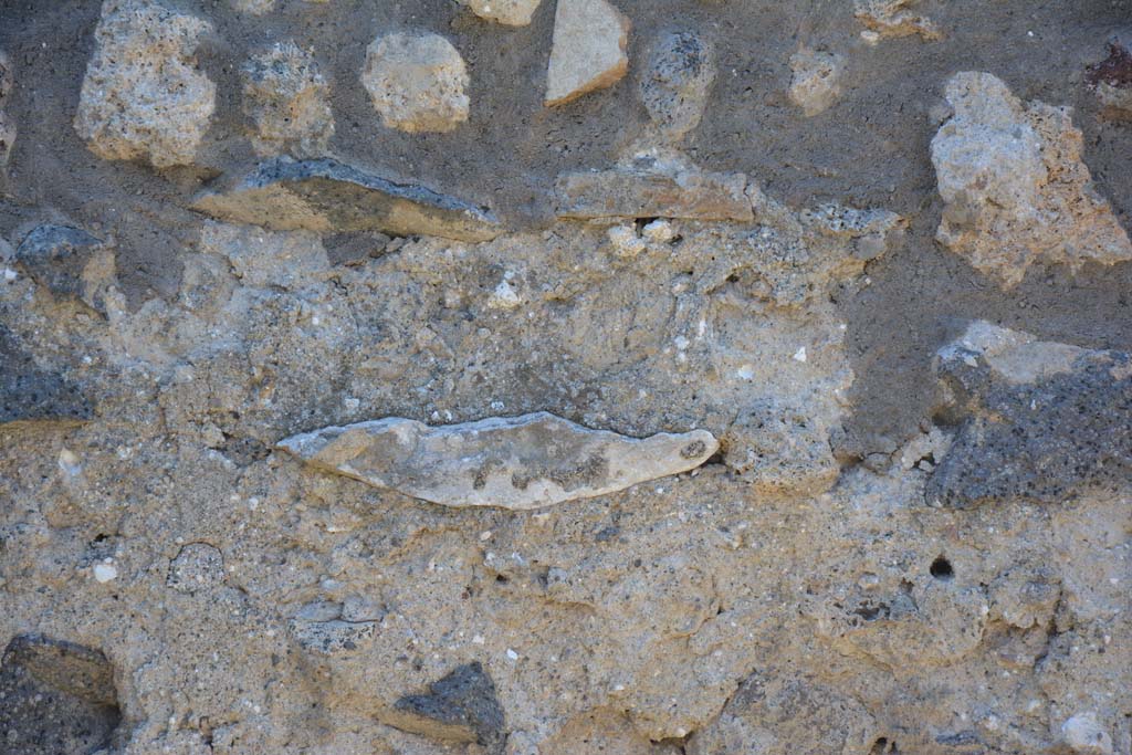 IX.5.14 Pompeii. May 2017. Room “r”, detail from west wall. 
Foto Christian Beck, ERC Grant 681269 DÉCOR.
