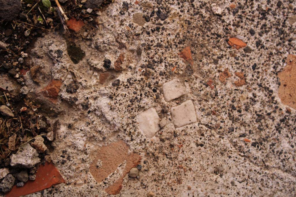 IX.5.14 Pompeii. May 2019. Room “f”, detail of flooring.
Foto Christian Beck, ERC Grant 681269 DÉCOR.