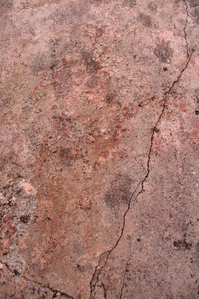 IX.5.14 Pompeii. May 2019. 
Room “f”, detail of figure of Muse Melpomene in centre of north panel on east wall.
Foto Christian Beck, ERC Grant 681269 DÉCOR.