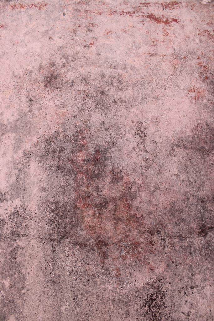 IX.5.14 Pompeii. May 2019. 
Room “f”, figure of Muse Thalia in centre of south panel on east wall.
Foto Christian Beck, ERC Grant 681269 DÉCOR.