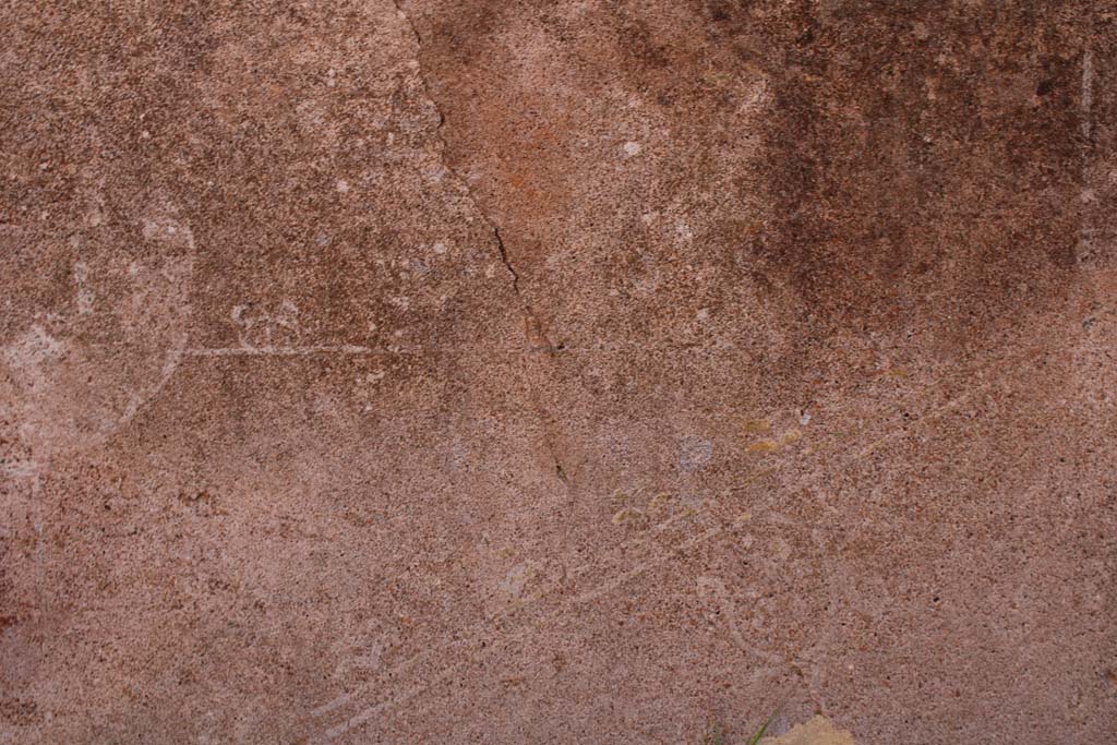 IX.5.14 Pompeii. May 2019. Room “f”, detail from zoccolo on east wall at north end
Foto Christian Beck, ERC Grant 681269 DÉCOR.