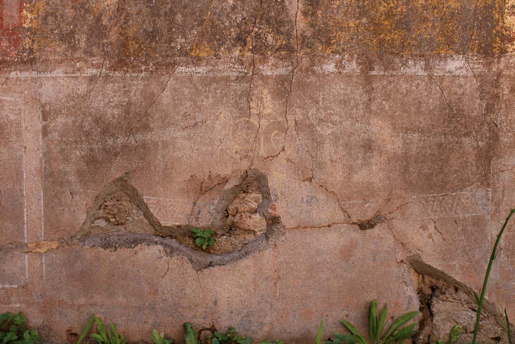 IX.5.14 Pompeii. May 2019. Room “f”, zoccolo on south wall.
Foto Christian Beck, ERC Grant 681269 DÉCOR.
