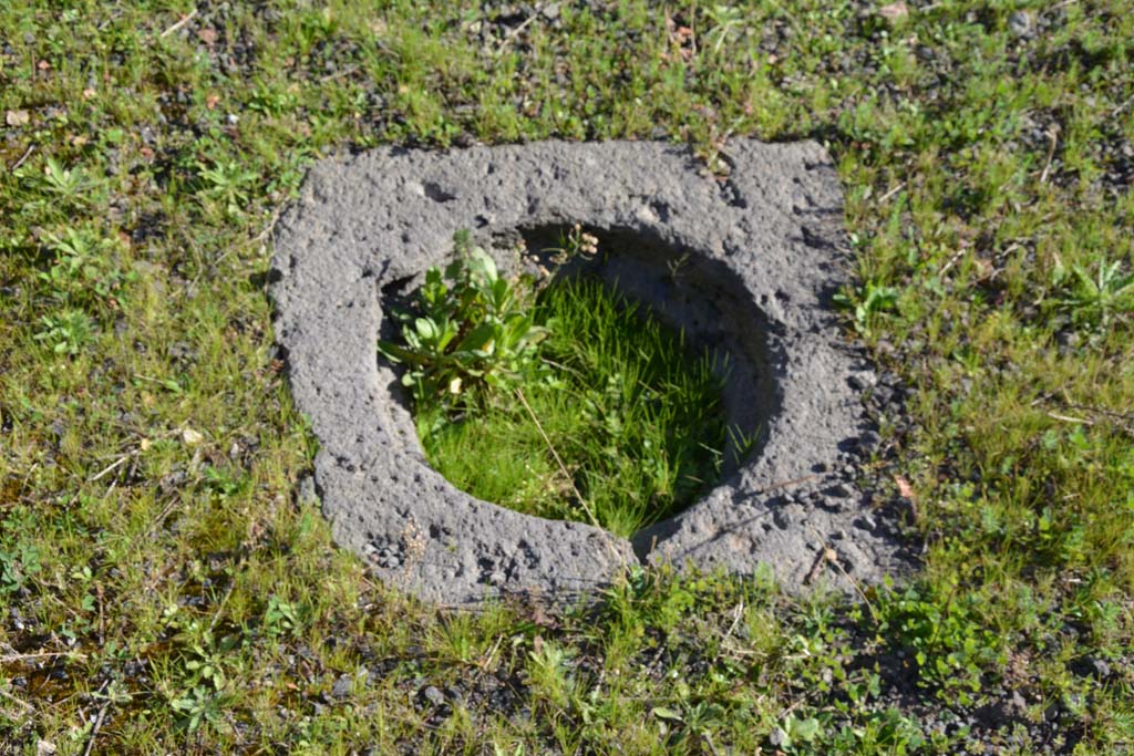 IX.5.14 Pompeii. March 2017.  Atrium “b”, cistern mouth on west side of impluvium.
Foto Christian Beck, ERC Grant 681269 DÉCOR.