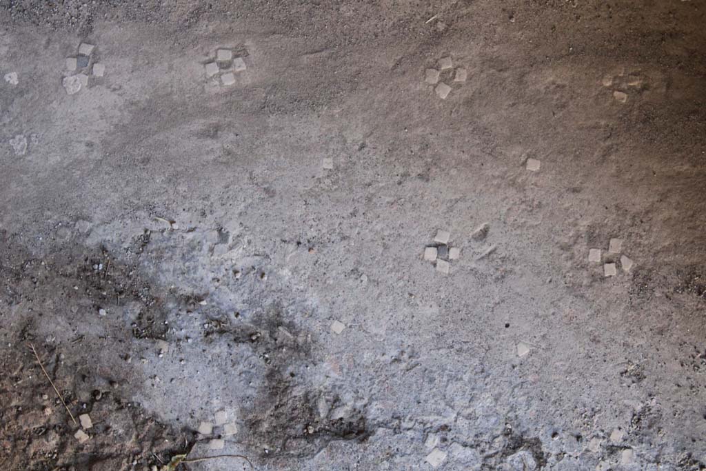 IX.5.14 Pompeii. May 2019. 
Room “b”, the atrium floor, similar to room “c”, comprised of four white stones forming a cross with a black centre, separated by a single white stone.
Foto Christian Beck, ERC Grant 681269 DÉCOR.