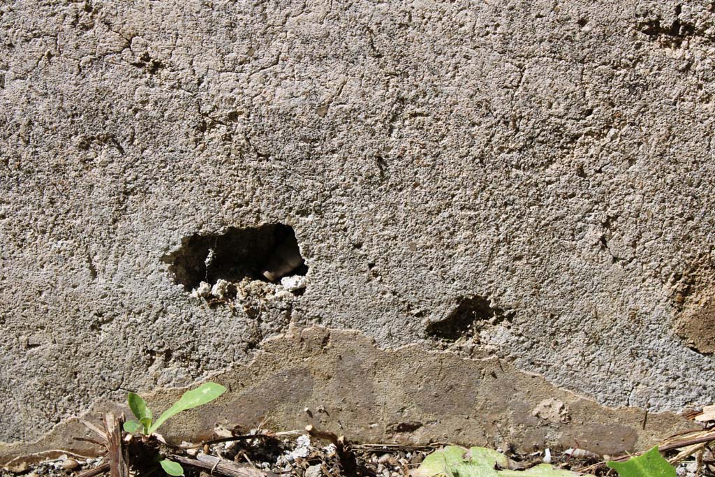 IX.5.14 Pompeii. May 2019. Room “e”, lower west wall of north ala, 
Foto Christian Beck, ERC Grant 681269 DÉCOR.