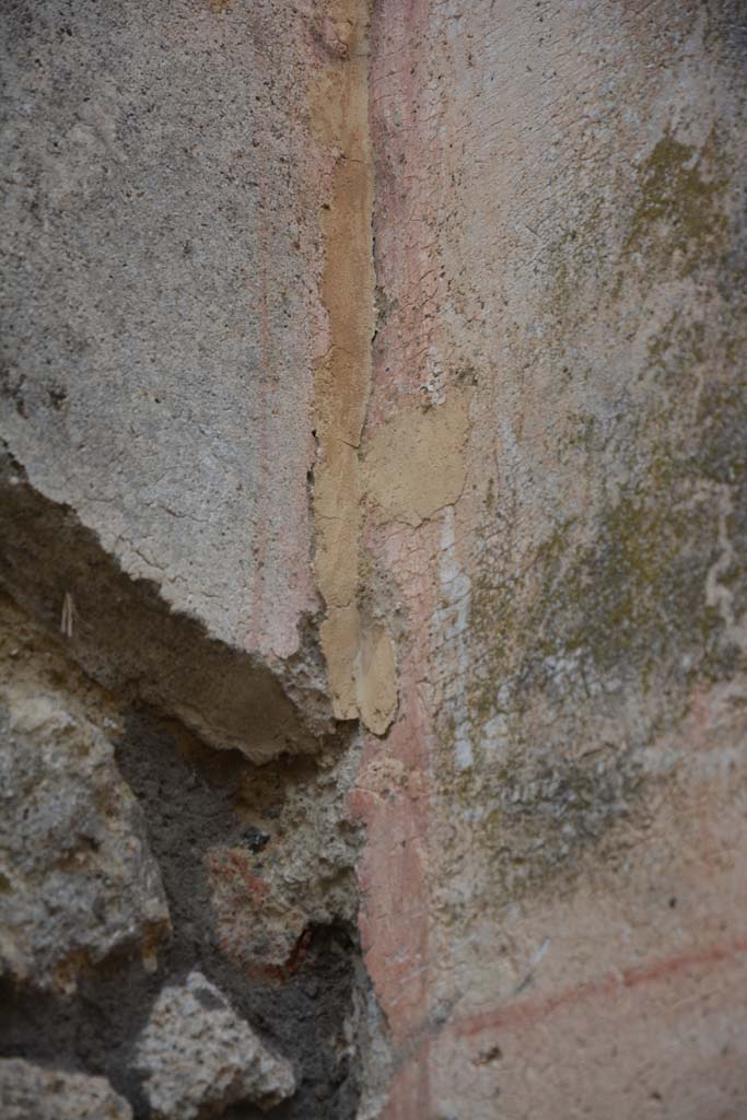 IX.5.14 Pompeii. May 2017. Room “d”, detail from north-west corner.
Foto Christian Beck, ERC Grant 681269 DÉCOR.