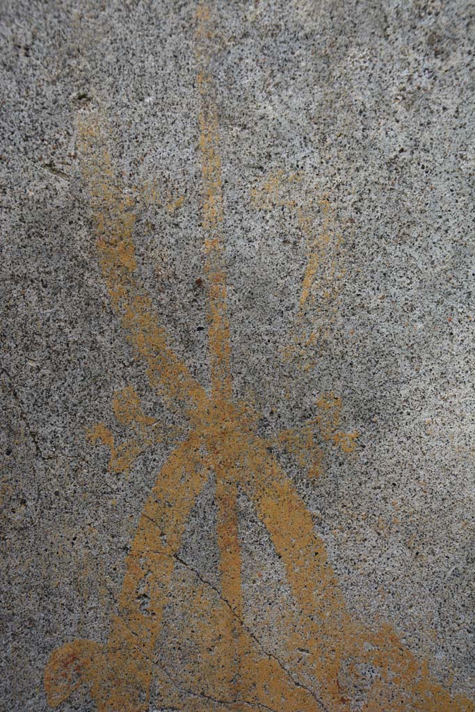 IX.5.14 Pompeii. May 2017. Room “d”, detail from east wall.
Foto Christian Beck, ERC Grant 681269 DÉCOR.