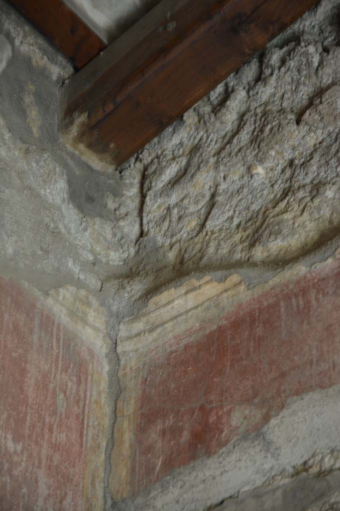 IX.5.14 Pompeii. May 2017. Room “g”, detail from upper south-east corner.
Foto Christian Beck, ERC Grant 681269 DÉCOR.