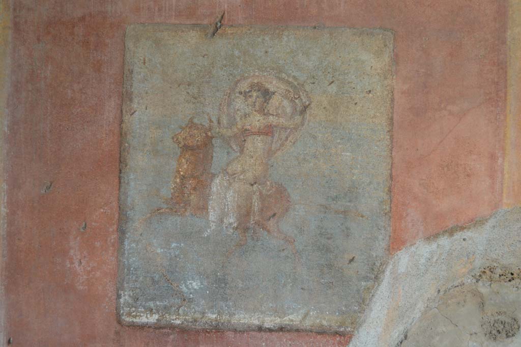 IX.5.14 Pompeii. March 2018.  
Cubiculum “g”, south wall. Detail of wall painting of Europa on side of bull. 
Foto Taylor Lauritsen, ERC Grant 681269 DÉCOR.