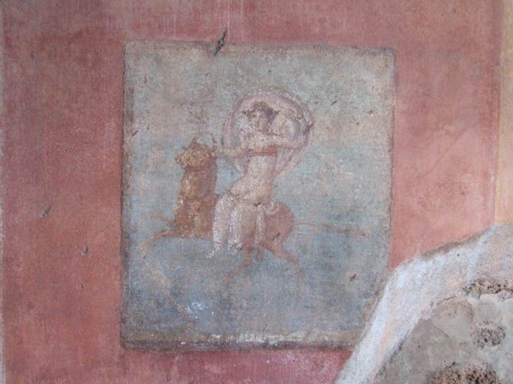 IX.5.14 Pompeii. May 2005. Cubiculum “g”, south wall, detail of wall painting of Europa on side of bull.  
See Sogliano, A., 1879. Le pitture murali campane scoverte negli anni 1867-79. Napoli: (p.23, no.81) 
See Bragantini, de Vos, Badoni, 1986. Pitture e Pavimenti di Pompei, Parte 3. Rome: ICCD. (p.483)